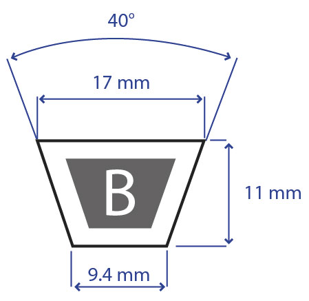 Disegno 205.B95